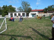 Sorbon - pes fotbalista